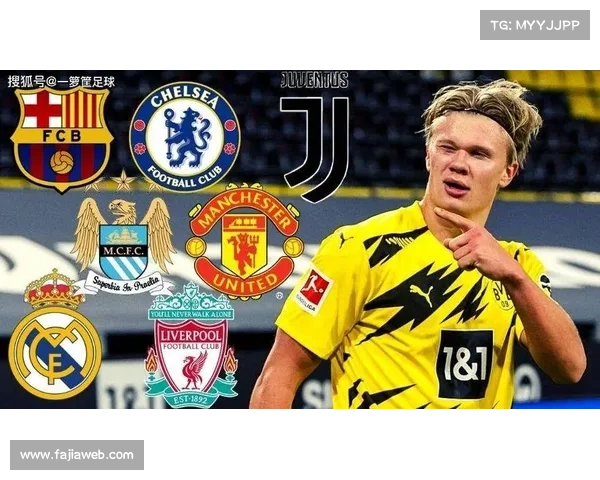 切尔西安塞尔米诺租借多特,伤病影响出场时间 切尔西安塞尔米诺租借多特,伤病影响出场时间